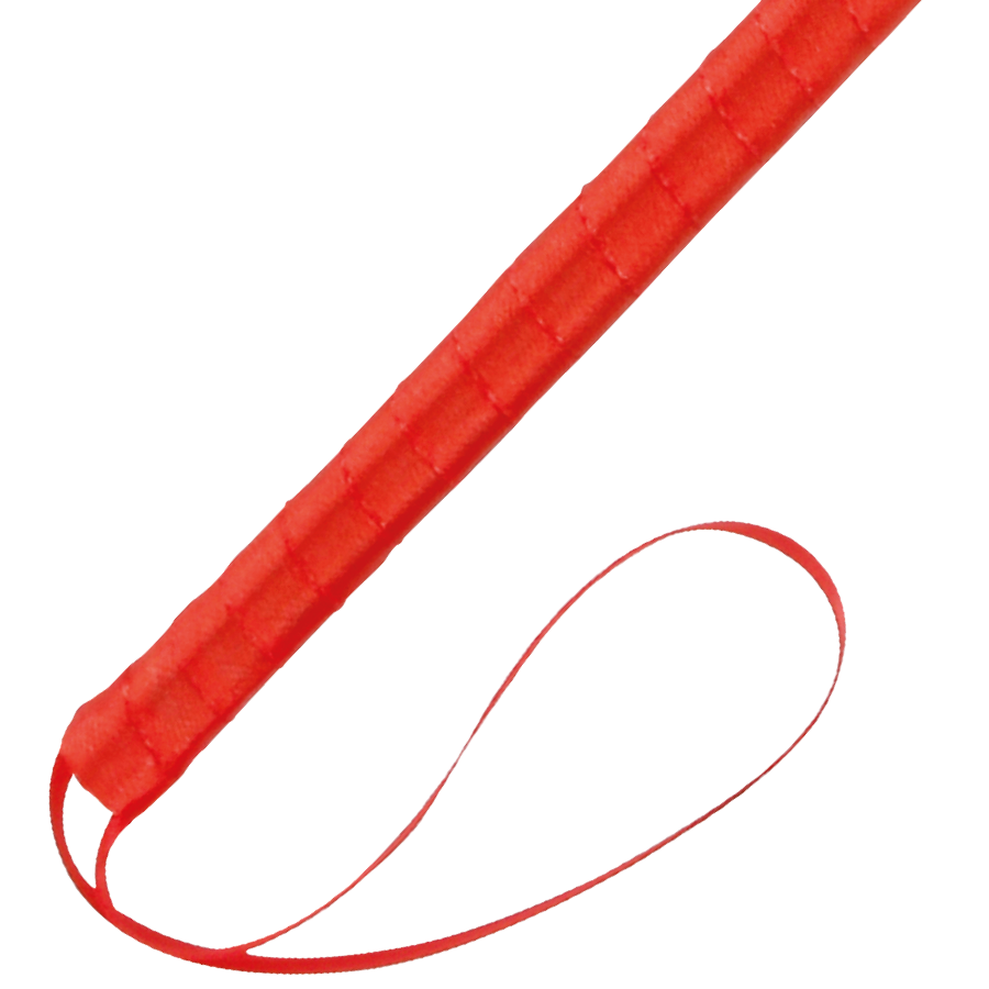 Penna stimolante rossa Darkness Sensations, 24 cm, con design ergonomico e dettagli colorati, ideale per sensazioni intense.