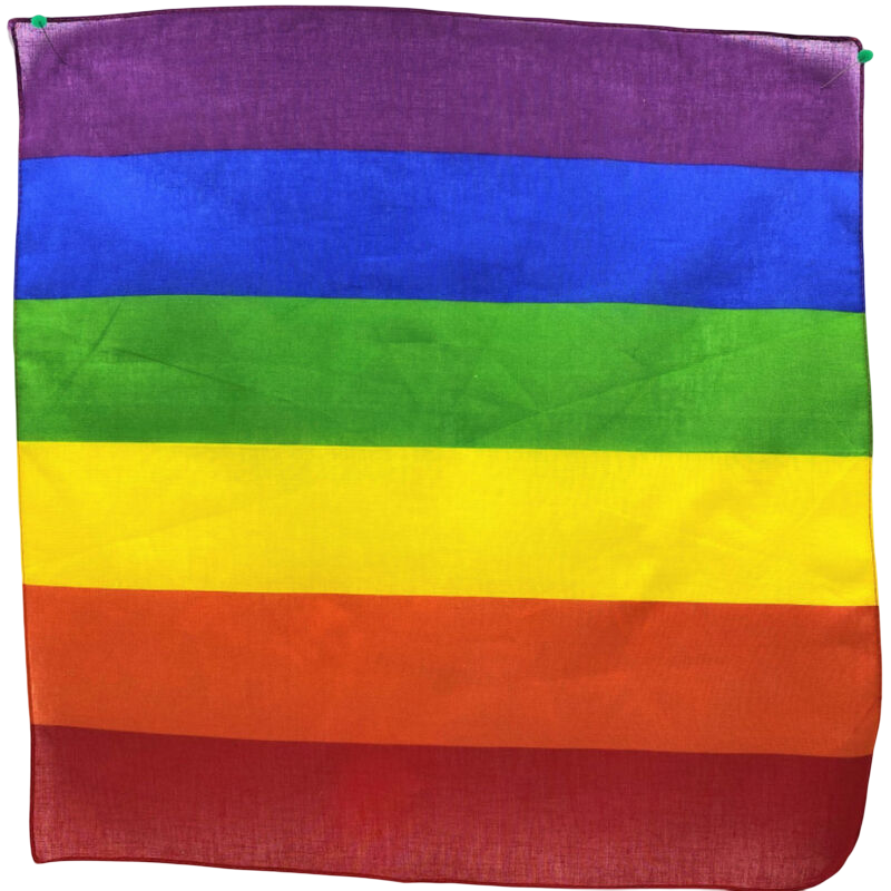 Sciarpa LGBT PRIDE 50x50 con colori arcobaleno, ideale per mostrare supporto e inclusione, realizzata da PRIDE.
