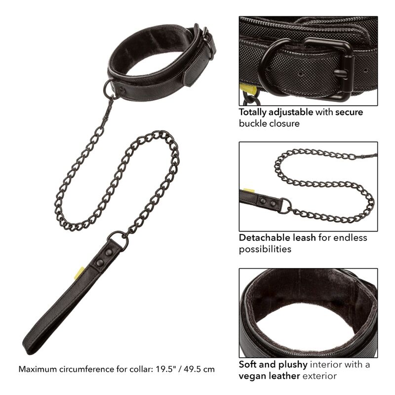 Collare e guinzaglio Boundless di CALEXOTICS, set elegante per animali domestici con dettagli robusti e comodi.