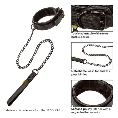 Collare e guinzaglio Boundless di CALEXOTICS, set elegante per animali domestici con dettagli robusti e comodi.