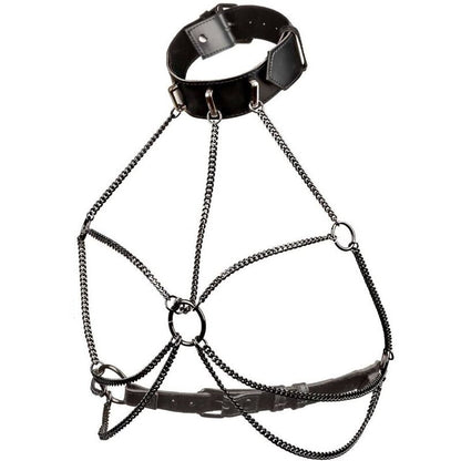 Imbracatura colletto CALEXOTICS Euphoria con catene multiple, design elegante per giochi di bondage e accessori BDSM.