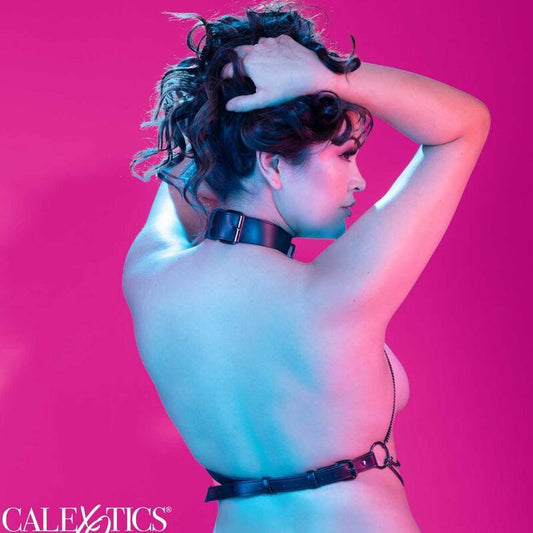 Imbracatura colletto CALEXOTICS Euphoria con catenella multi, taglia universale, in tessuto nero con dettagli eleganti.