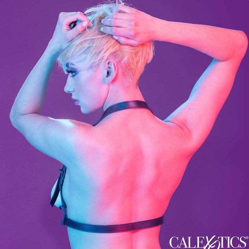 Imbracatura CALEXOTICS Euphoria con fibbia halter nera, dettagli in tessuto e fibbie metalliche, stile elegante e seducente