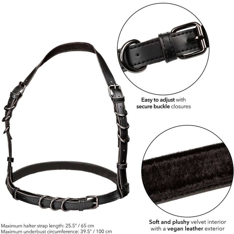 Imbracatura Euphoria di Calexotics con fibbia halter nera, dettagli eleganti e rifiniti, ideale per giochi di ruolo e intimità.