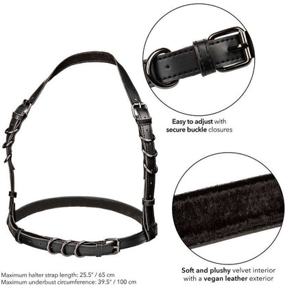 Imbracatura Euphoria di Calexotics con fibbia halter nera, dettagli eleganti e rifiniti, ideale per giochi di ruolo e intimità.