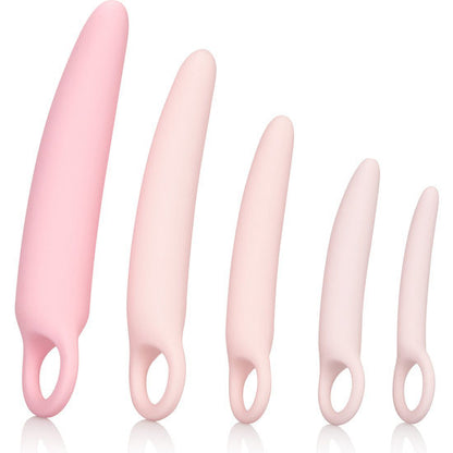 Set di dilatatori in silicone CALEXOTICS Inspire, 5 pezzi, con diverse dimensioni e forme per uso personale.