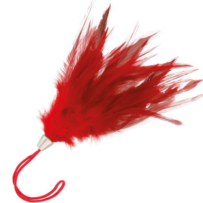 Penna stimolante rossa Darkness Sensations lunga 17cm, con design ergonomico e dettagli evidenti in primo piano.