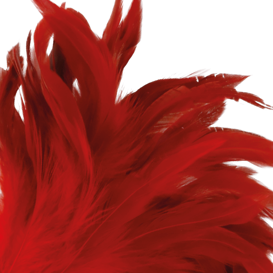 Penna stimolante rossa Darkness Sensations lunga 24cm, con design ergonomico e dettagli realistici per l'uso.