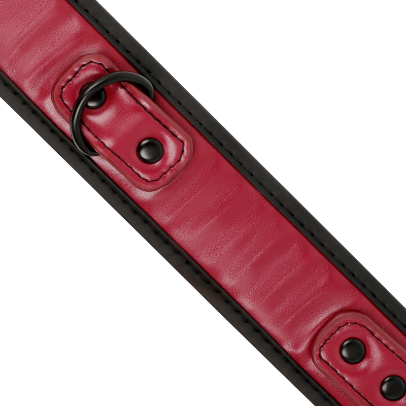 Collana a catena con fodera in neoprene del brand Fetish Submissive Dark Room, accessorio elegante e resistente.
