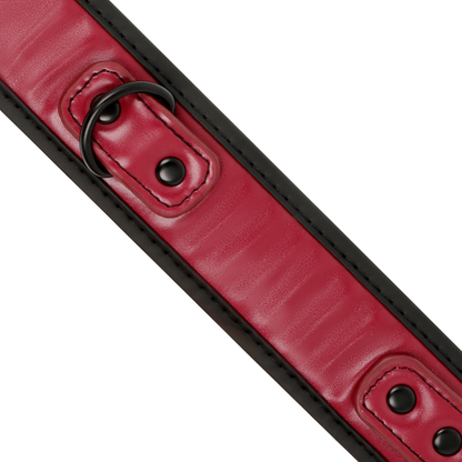 Collana a catena con fodera in neoprene del brand Fetish Submissive Dark Room, accessorio elegante e resistente.