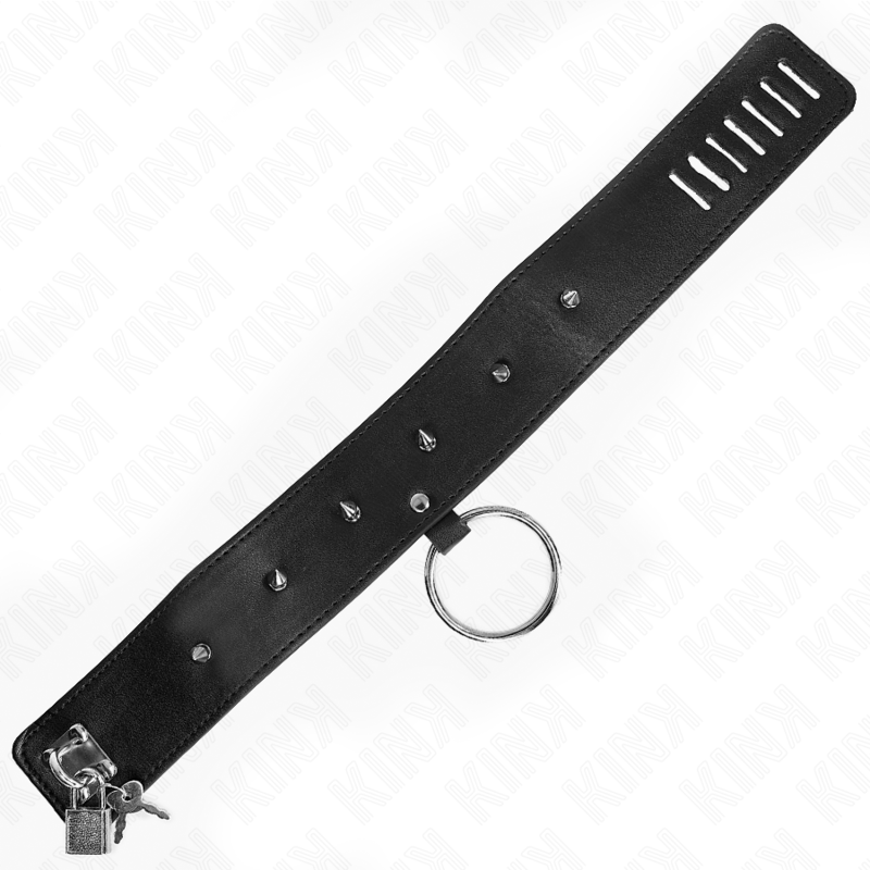 Collana KINK da 65 cm con guinzaglio e borchie argento, modello regolabile 36-43 cm, in acciaio inox, stile elegante e robusto.