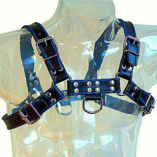 Imbracatura in pelle blu e nera per bulldog, elegante e resistente, con dettagli di alta qualità e chiusure sicure.