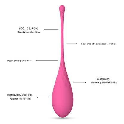Set di 6 pesi per allenamento muscoli pelvici Kegel Fit del brand Leslie, con vari pesi e dimensioni.