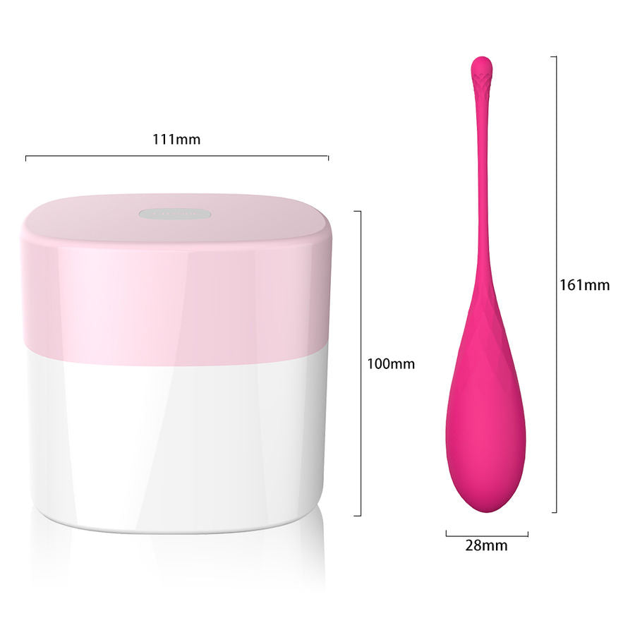 Set di 6 dispositivi LESLIE per l'allenamento dei muscoli pelvici Kegel FIT, progettati per esercizi di rafforzamento.