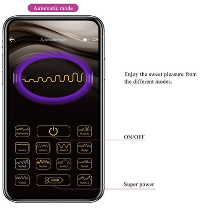 Vibratore ricaricabile Pretty Love Ethan viola, elegante con design ergonomico e superficie liscia, per stimolazione piacevole.